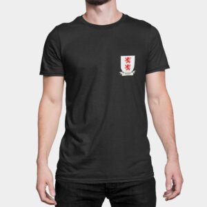 Ferry Family Coat of Arms T-Shirt