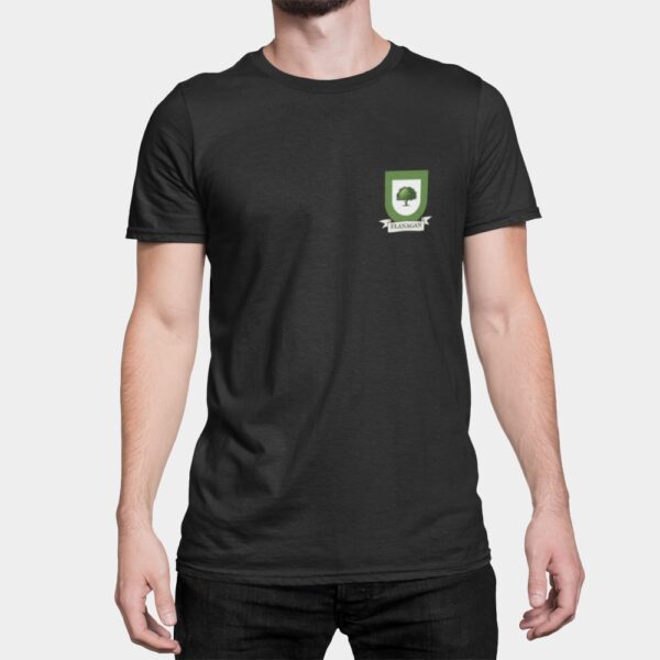 Flanagan Family Coat of Arms T-Shirt