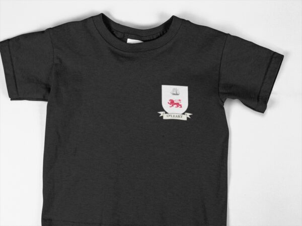 O'Leary Family Coat of Arms Youth T-Shirt