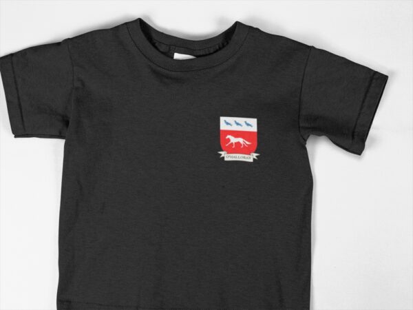 O'Halloran Family Coat of Arms Youth T Shirt