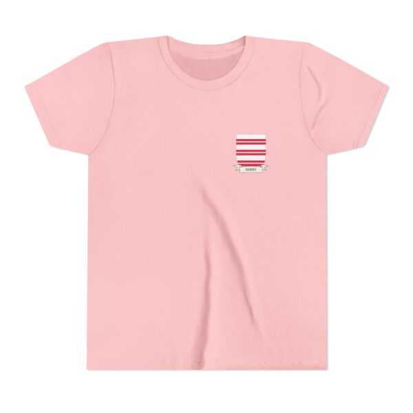 Barry Family Coat of Arms Youth T-Shirt - Image 5