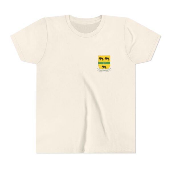 McSweeney Family Coat of Arms Youth T-Shirt - Image 2