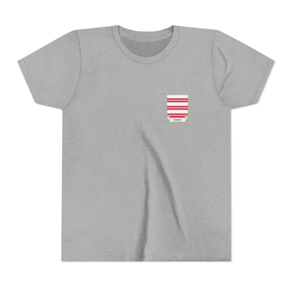 Barry Family Coat of Arms Youth T-Shirt - Image 4