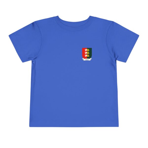 Grady Family Coat of Arms Toddler T-Shirt - Image 5