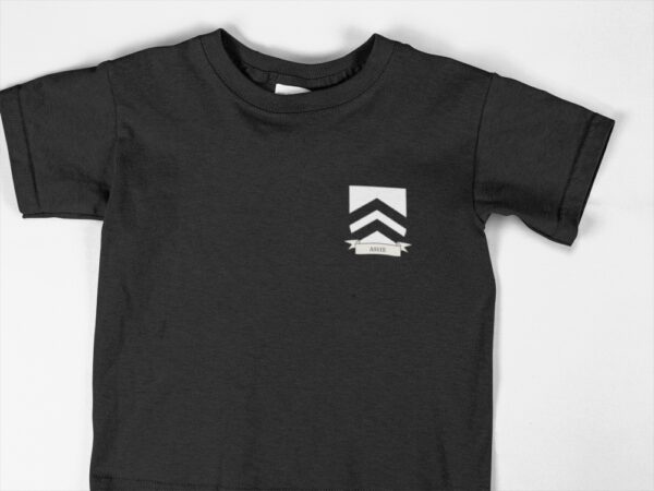 Ashe Family Coat of Arms Youth T-Shirt