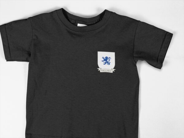 Galloway Family Coat of Arms Youth T-Shirt
