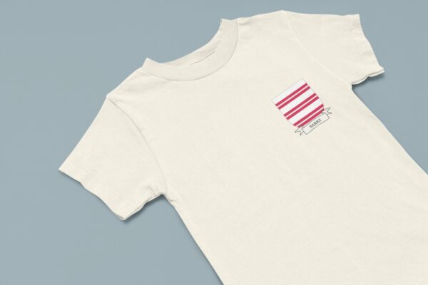 Barry Family Coat of Arms Toddler T-Shirt