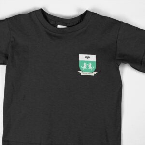 Donohue Family Coat of Arms Youth T Shirt