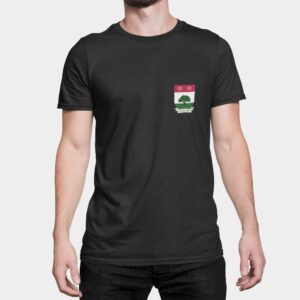 Flannery Family Coat of Arms T-Shirt