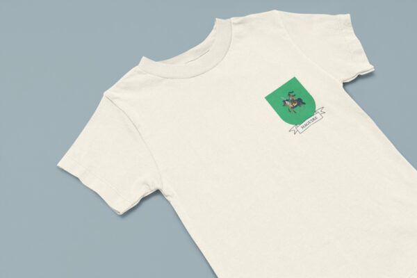 Maguire Family Coat of Arms Toddler T-Shirt