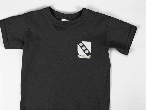 Carey Family Coat of Arms Youth T-Shirt