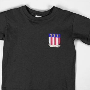 Dale Family Coat of Arms Kids T shirt