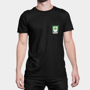 Flanagan Family Coat of Arms T-Shirt