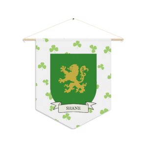 Shane Family Coat of Arms Indoor Pennant
