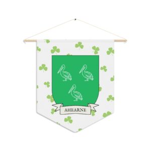 Ahearne Family Coat of Arms Indoor Pennant