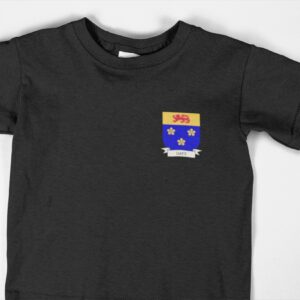 Davy Family Coat of Arms Youth T-Shirt