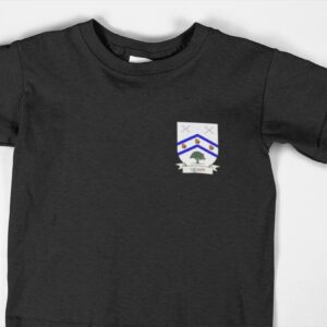 Quain Coat of Arms Kids T Shirt