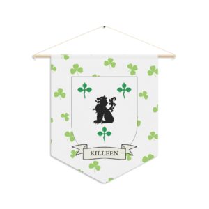 Killeen Family Coat of Arms Indoor Pennant