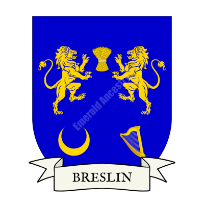 Breslin Family Coat of Arms