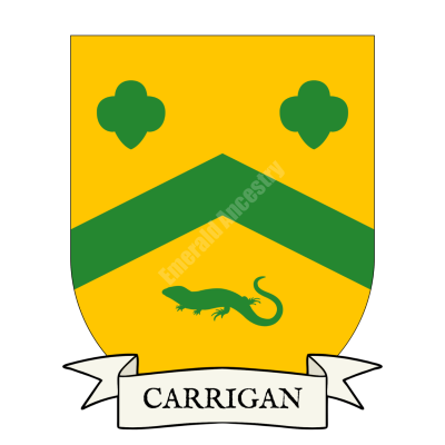Carrigan Family Coat of Arms