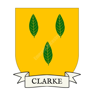 Clarke Family Coat of Arms