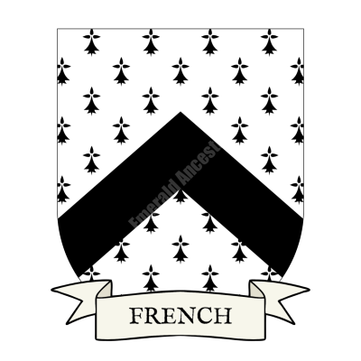 French Family Coat of Arms