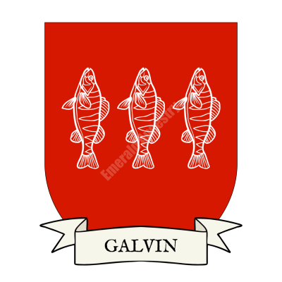 Galvin Family Coat of Arms