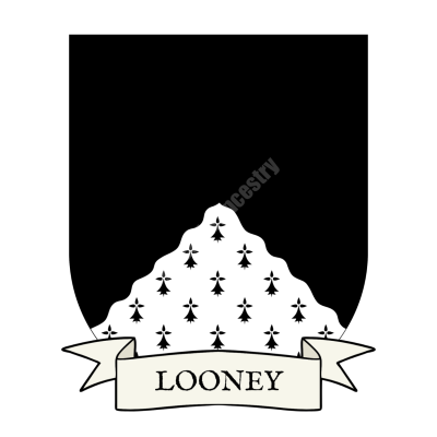 Looney Family Coat of Arms