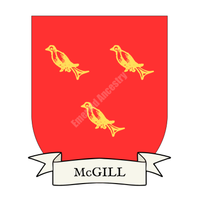 McGill Family Coat of Arms