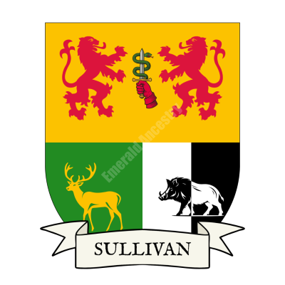 Sullivan Family Coat of Arms