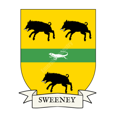 Sweeney Family Coat of Arms