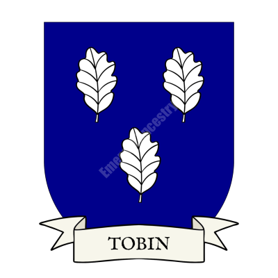 Tobin Famly Coat of Arms