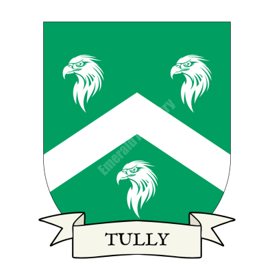 Tully Family Coat of Arms Shield