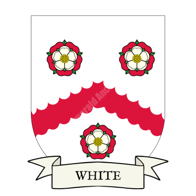 White Family Coat of Arms Shield